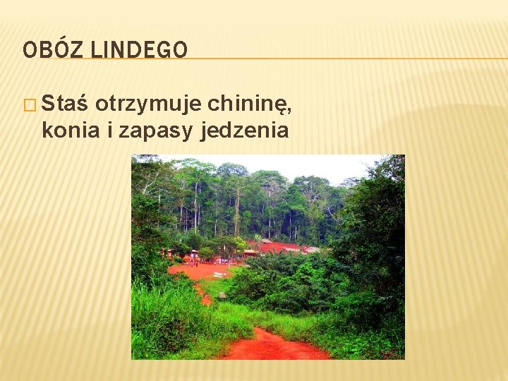 OBÓZ LINDEGO � Staś otrzymuje chininę, konia i zapasy jedzenia 