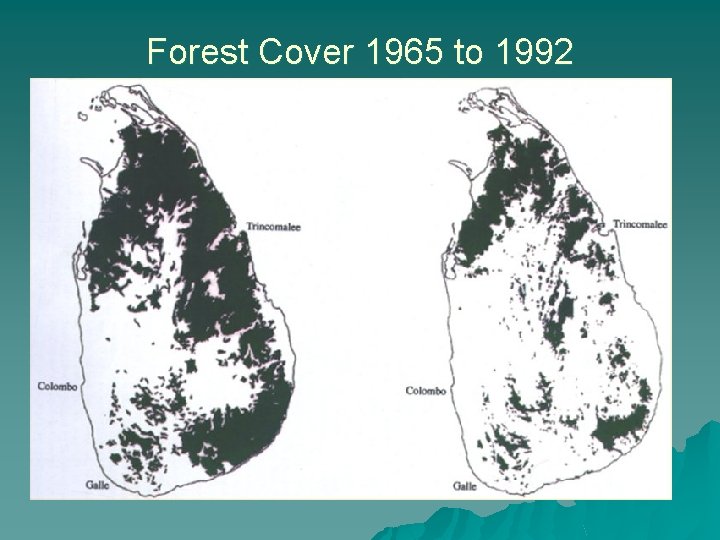 Forest Cover 1965 to 1992 