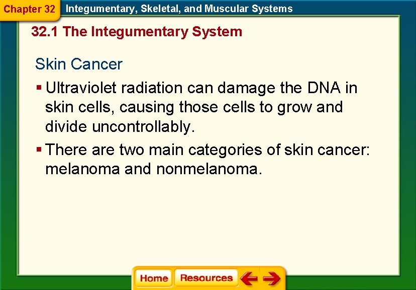 Chapter 32 Integumentary, Skeletal, and Muscular Systems 32. 1 The Integumentary System Skin Cancer