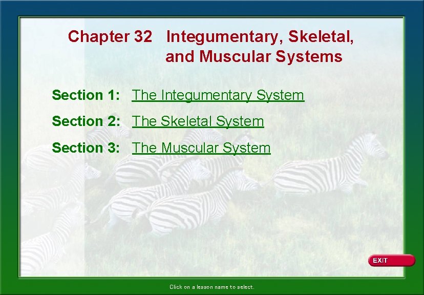 Chapter 32 Integumentary, Skeletal, and Muscular Systems Section 1: The Integumentary System Section 2: