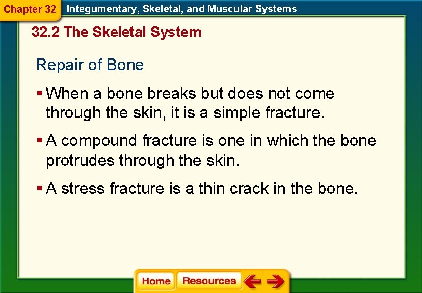 Chapter 32 Integumentary, Skeletal, and Muscular Systems 32. 2 The Skeletal System Repair of