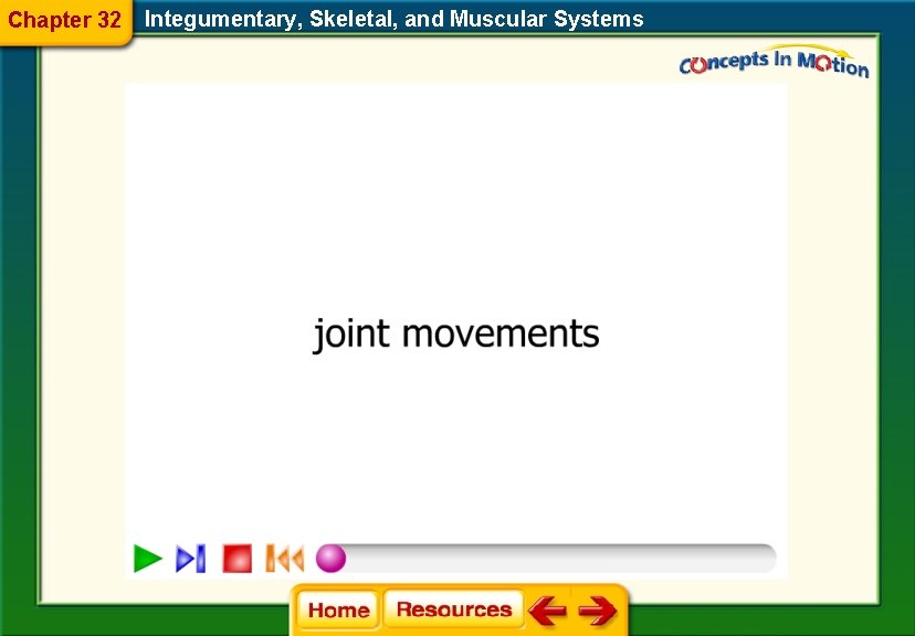 Chapter 32 Integumentary, Skeletal, and Muscular Systems 