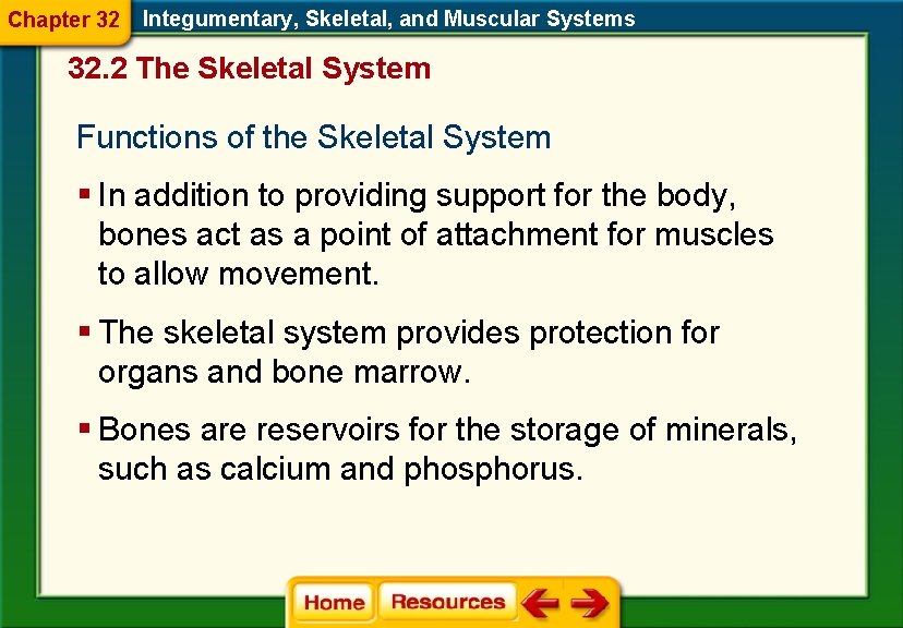 Chapter 32 Integumentary, Skeletal, and Muscular Systems 32. 2 The Skeletal System Functions of