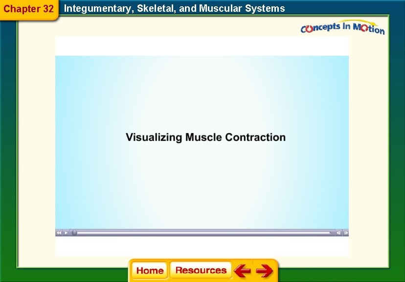 Chapter 32 Integumentary, Skeletal, and Muscular Systems 