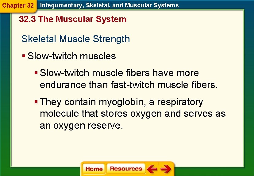 Chapter 32 Integumentary, Skeletal, and Muscular Systems 32. 3 The Muscular System Skeletal Muscle