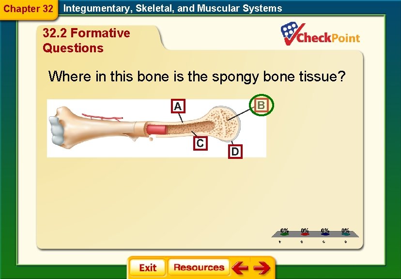 Chapter 32 Integumentary, Skeletal, and Muscular Systems 32. 2 Formative Questions Where in this