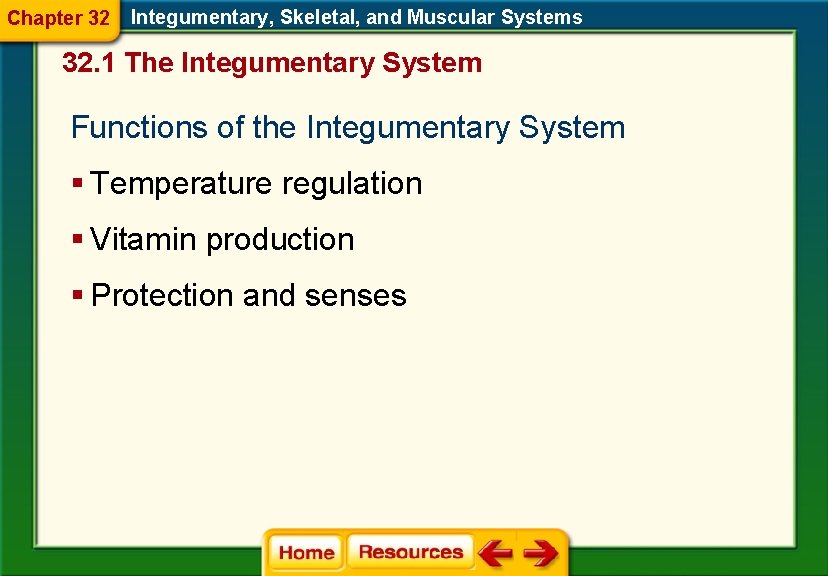 Chapter 32 Integumentary, Skeletal, and Muscular Systems 32. 1 The Integumentary System Functions of