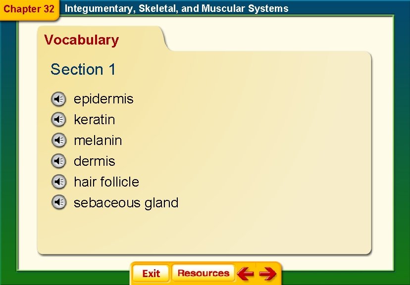 Chapter 32 Integumentary, Skeletal, and Muscular Systems Vocabulary Section 1 epidermis keratin melanin dermis
