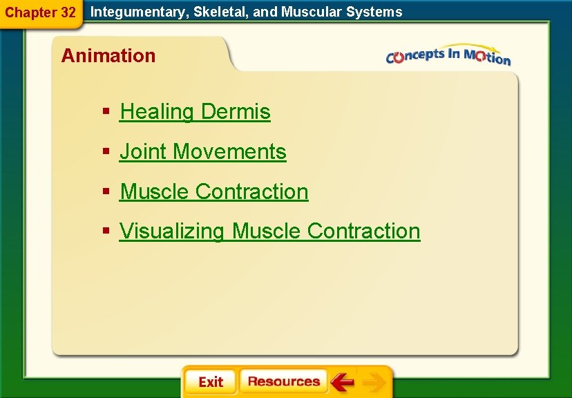 Chapter 32 Integumentary, Skeletal, and Muscular Systems Animation § Healing Dermis § Joint Movements