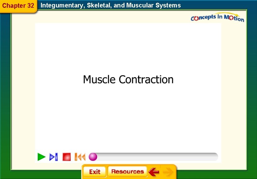 Chapter 32 Integumentary, Skeletal, and Muscular Systems 