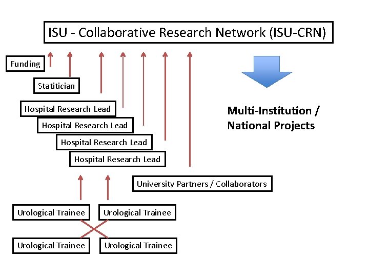 ISU - Collaborative Research Network (ISU-CRN) Funding Statitician Multi-Institution / National Projects Hospital Research