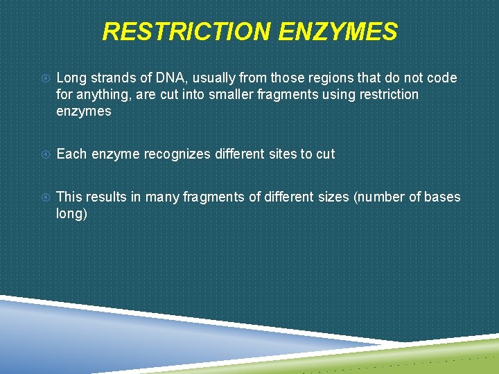 RESTRICTION ENZYMES Long strands of DNA, usually from those regions that do not code