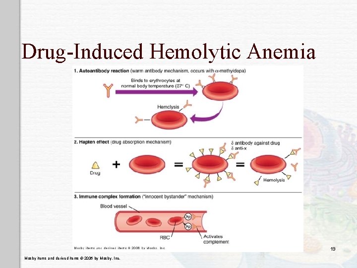 Drug-Induced Hemolytic Anemia 19 Mosby items and derived items © 2006 by Mosby, Inc.