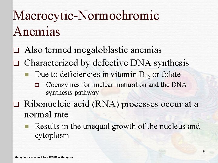 Macrocytic-Normochromic Anemias o o Also termed megaloblastic anemias Characterized by defective DNA synthesis n