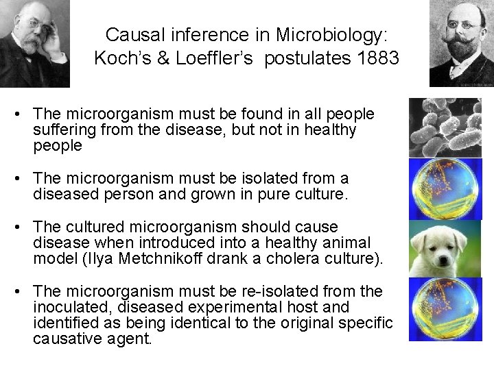 Causal inference in Microbiology: Koch’s & Loeffler’s postulates 1883 • The microorganism must be