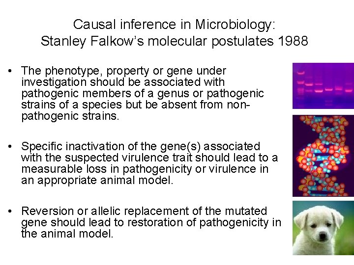 Causal inference in Microbiology: Stanley Falkow’s molecular postulates 1988 • The phenotype, property or