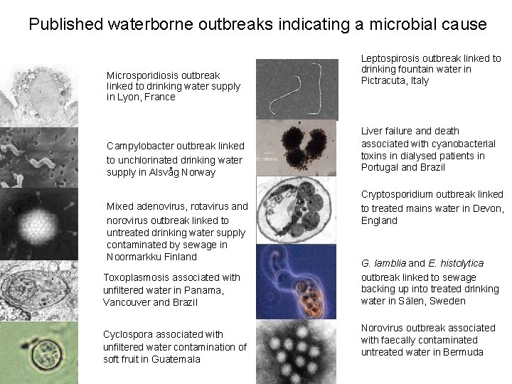 Published waterborne outbreaks indicating a microbial cause Microsporidiosis outbreak linked to drinking water supply