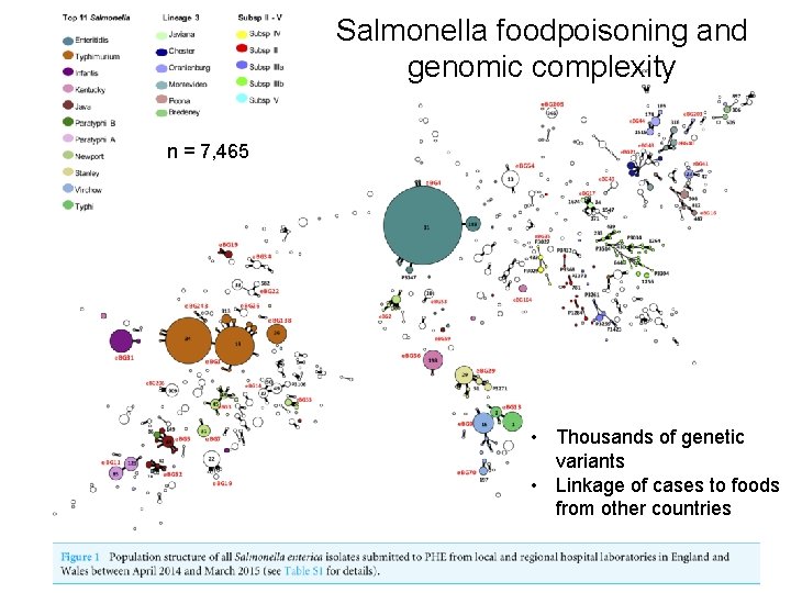 Salmonella foodpoisoning and genomic complexity n = 7, 465 • Thousands of genetic variants