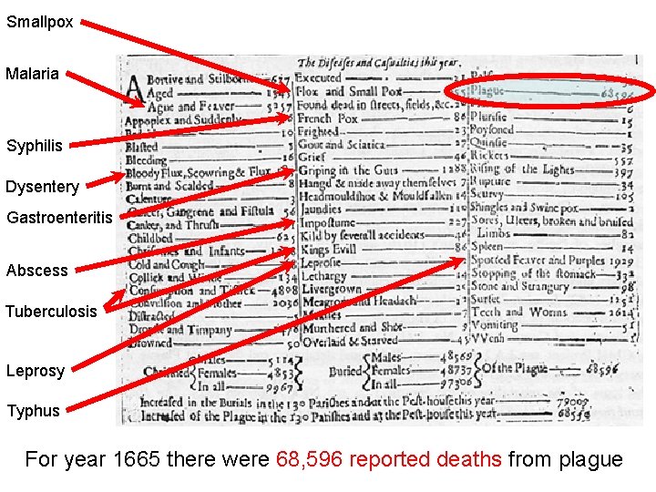 Smallpox Malaria Syphilis Dysentery Gastroenteritis Abscess Tuberculosis Leprosy Typhus For year 1665 there were