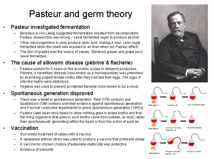 Pasteur and germ theory • Pasteur investigated fermentation – – – • The cause
