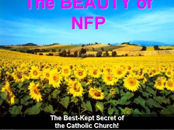 The BEAUTY of NFP The Best-Kept Secret of the Catholic Church! 