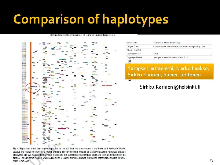 Comparison of haplotypes Sampsa Hautaniemi, Marko Laakso, Sirkku Karinen, Rainer Lehtonen Sirkku. Karinen@helsinki. fi Comparison of haplotypes Sampsa Hautaniemi, Marko Laakso, Sirkku Karinen, Rainer Lehtonen Sirkku. Karinen@helsinki. fi