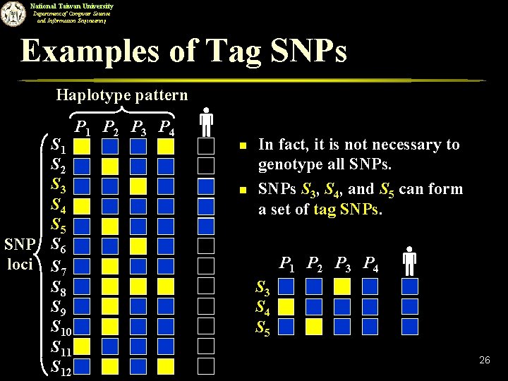 National Taiwan University Department of Computer Science and Information Engineering Examples of Tag SNPs