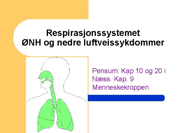 Respirasjonssystemet ØNH og nedre luftveissykdommer Pensum: Kap 10 og 20 i Næss. Kap. 9