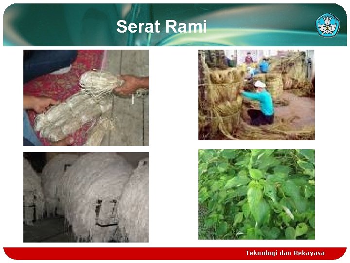 Serat Rami Teknologi dan Rekayasa Serat Rami Teknologi dan Rekayasa