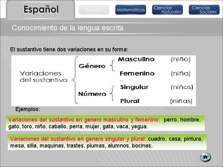 Conocimiento de la lengua escrita El sustantivo tiene dos variaciones en su forma: Ejemplos: