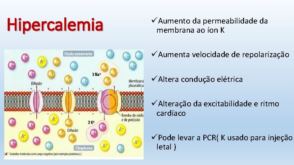 Hipercalemia üAumento da permeabilidade da membrana ao íon K üAumenta velocidade de repolarização üAltera