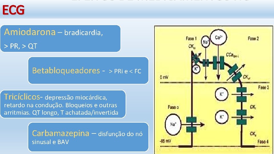 ECG Amiodarona – bradicardia, > PR, > QT Betabloqueadores - > PRi e <