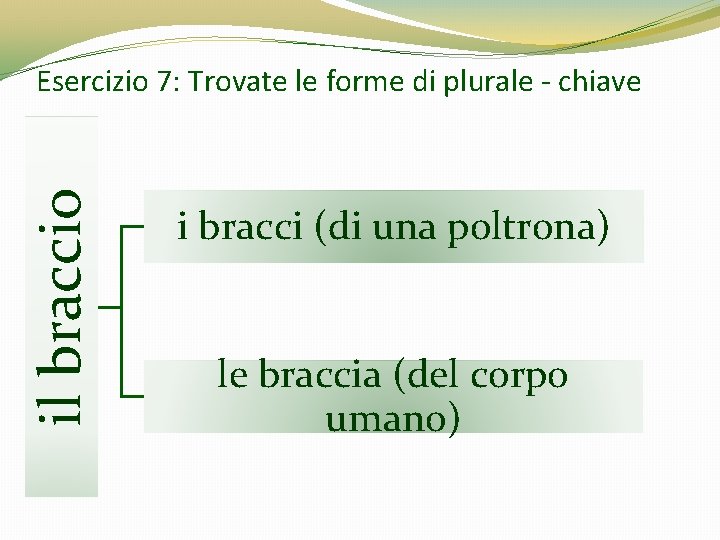 il braccio Esercizio 7: Trovate le forme di plurale - chiave i bracci (di il braccio Esercizio 7: Trovate le forme di plurale - chiave i bracci (di