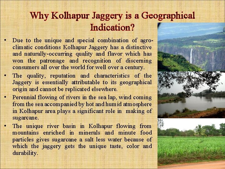 Why Kolhapur Jaggery is a Geographical Indication? • Due to the unique and special