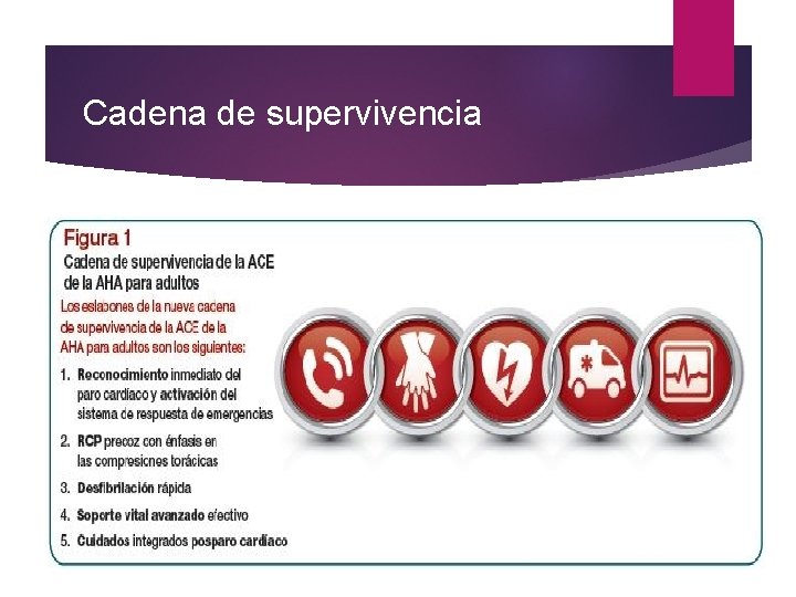 Cadena de supervivencia 