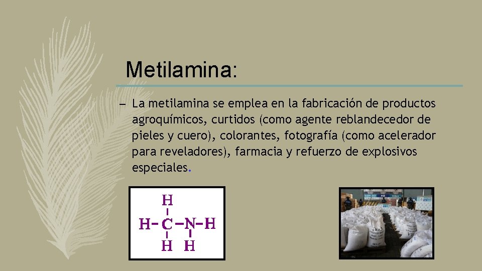 Metilamina: – La metilamina se emplea en la fabricación de productos agroquímicos, curtidos (como Metilamina: – La metilamina se emplea en la fabricación de productos agroquímicos, curtidos (como