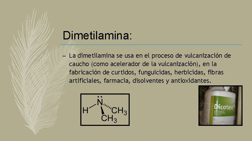 Dimetilamina: – La dimetilamina se usa en el proceso de vulcanización de caucho (como Dimetilamina: – La dimetilamina se usa en el proceso de vulcanización de caucho (como