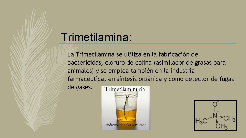 Trimetilamina: – La Trimetilamina se utiliza en la fabricación de bactericidas, cloruro de colina Trimetilamina: – La Trimetilamina se utiliza en la fabricación de bactericidas, cloruro de colina