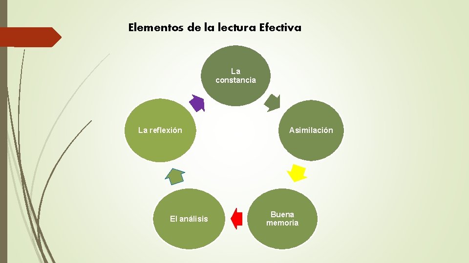 Elementos de la lectura Efectiva La constancia La reflexión El análisis Asimilación Buena memoria