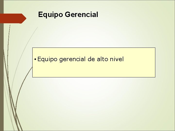  Equipo Gerencial • Equipo gerencial de alto nivel 