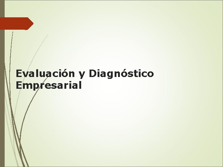 Evaluación y Diagnóstico Empresarial 
