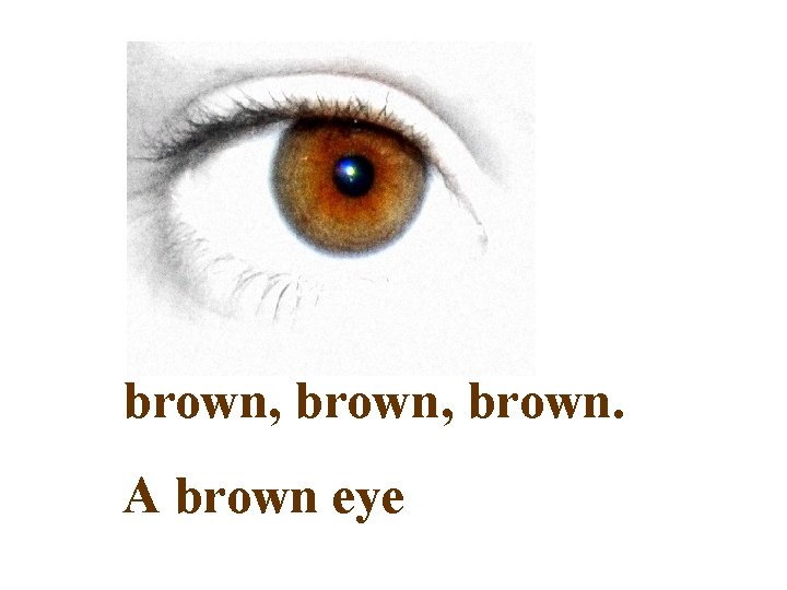 brown, brown. A brown eye 