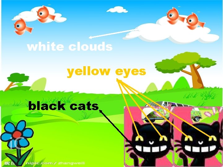 white clouds yellow eyes black cats 