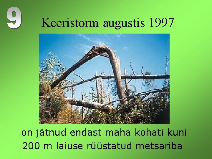 Keeristorm augustis 1997 on jätnud endast maha kohati kuni 200 m laiuse rüüstatud metsariba