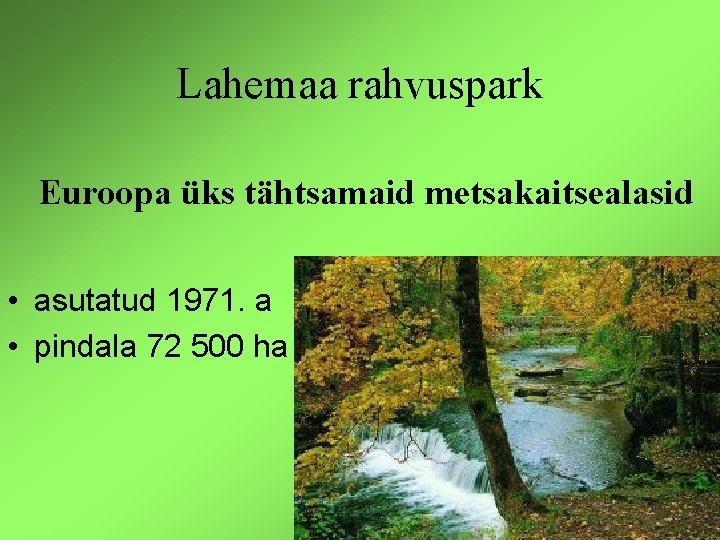 Lahemaa rahvuspark Euroopa üks tähtsamaid metsakaitsealasid • asutatud 1971. a • pindala 72 500