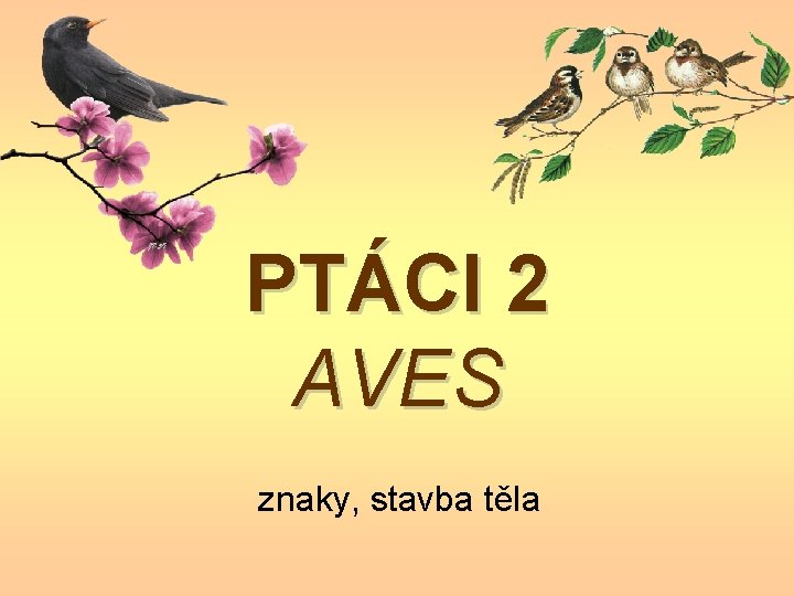 PTÁCI 2 AVES znaky, stavba těla 