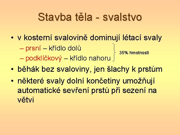 Stavba těla - svalstvo • v kosterní svalovině dominují létací svaly – prsní –