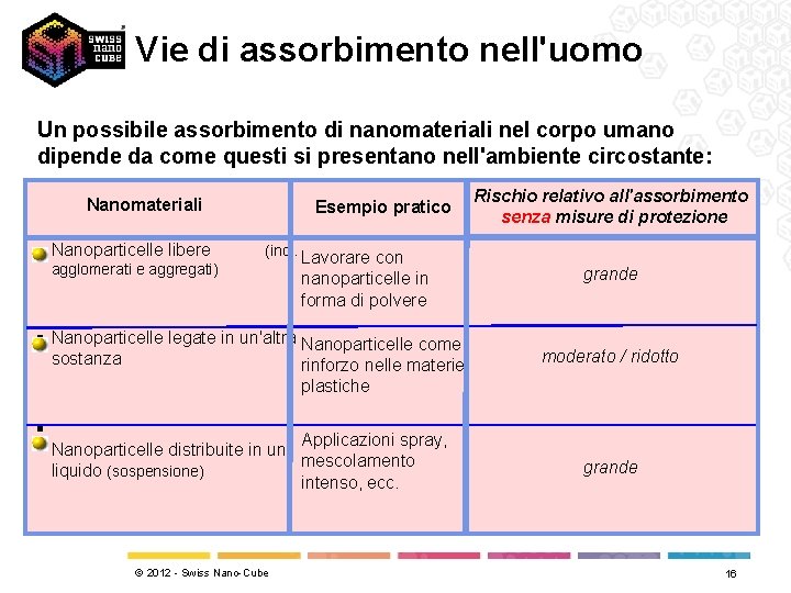 Vie di assorbimento nell'uomo Un possibile assorbimento di nanomateriali nel corpo umano dipende da