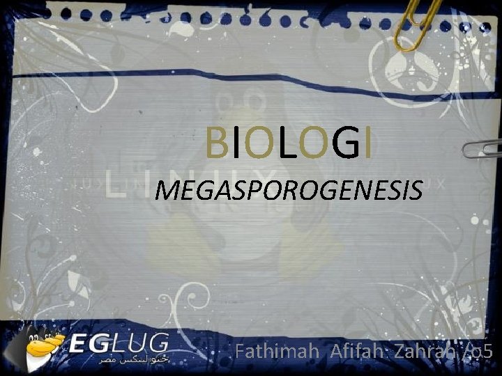 BIOLOGI MEGASPOROGENESIS Fathimah Afifah Zahrah /o 5 