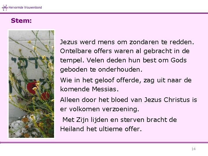 Stem: Jezus werd mens om zondaren te redden. Ontelbare offers waren al gebracht in